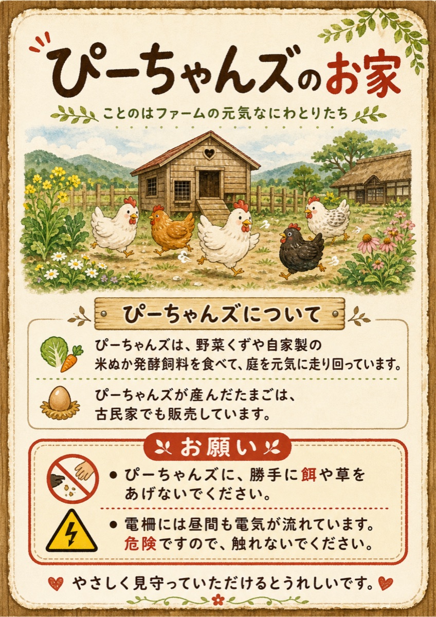 庭のにわとりに餌や草をあげず、電柵に触れないお願い