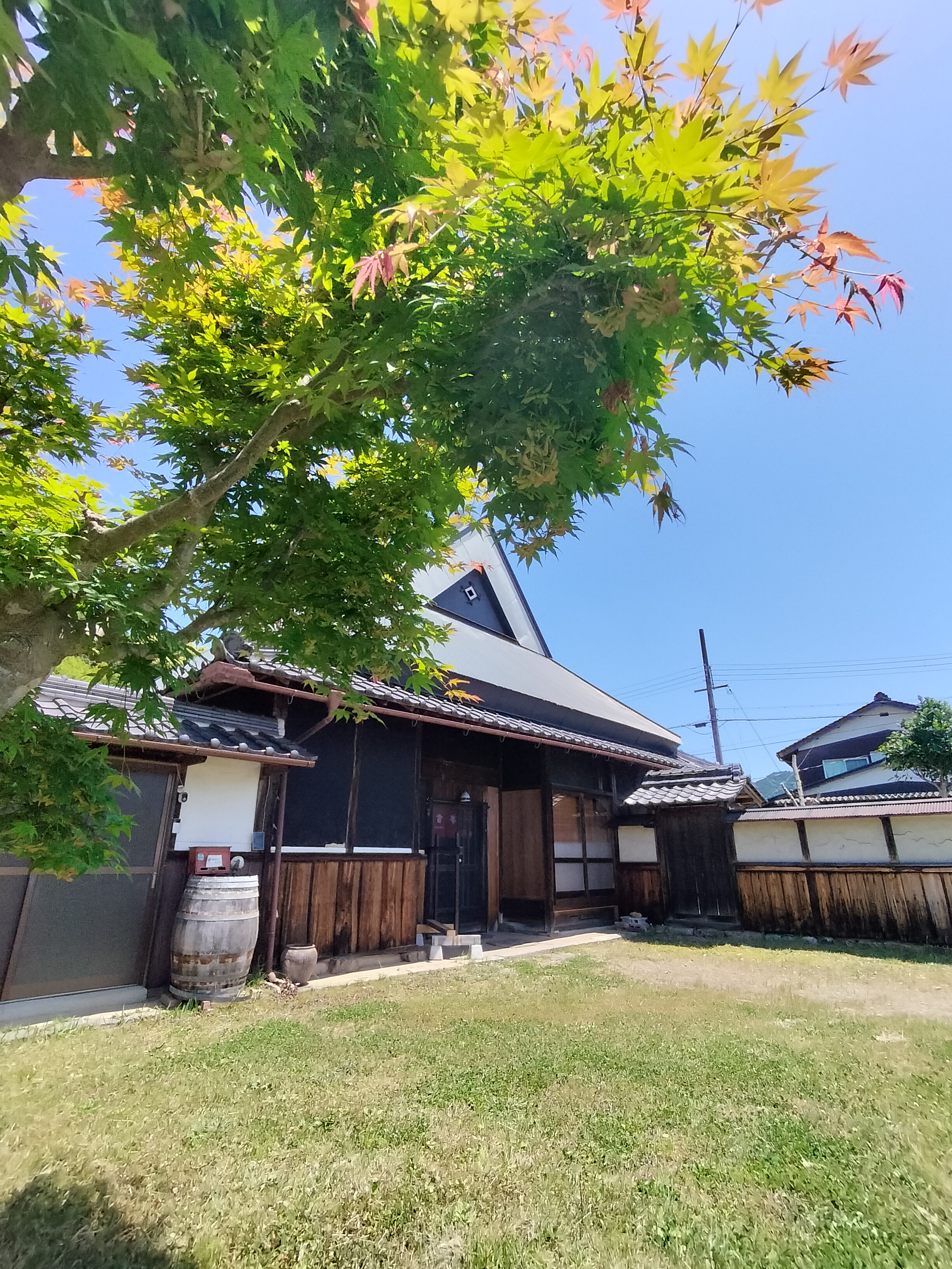 もみじ越しに見える古民家こだわりの外観