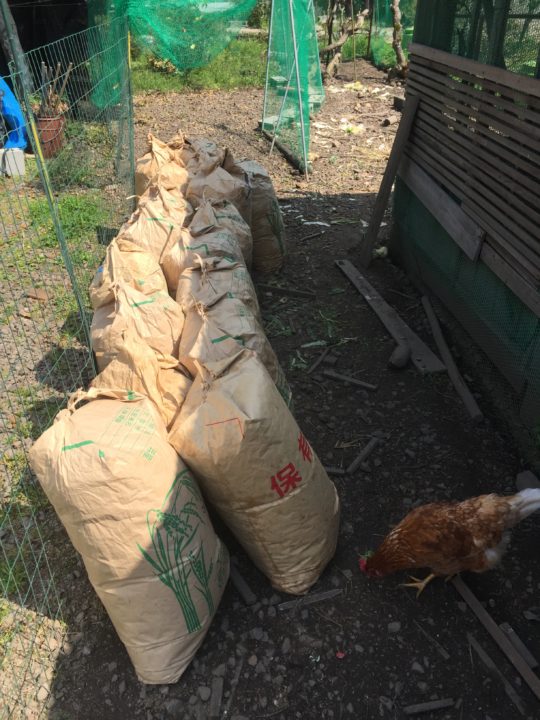 初めての自家製鶏糞堆肥 | ことのはファーム