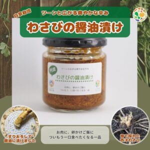 わさびの醤油漬け(送料別)