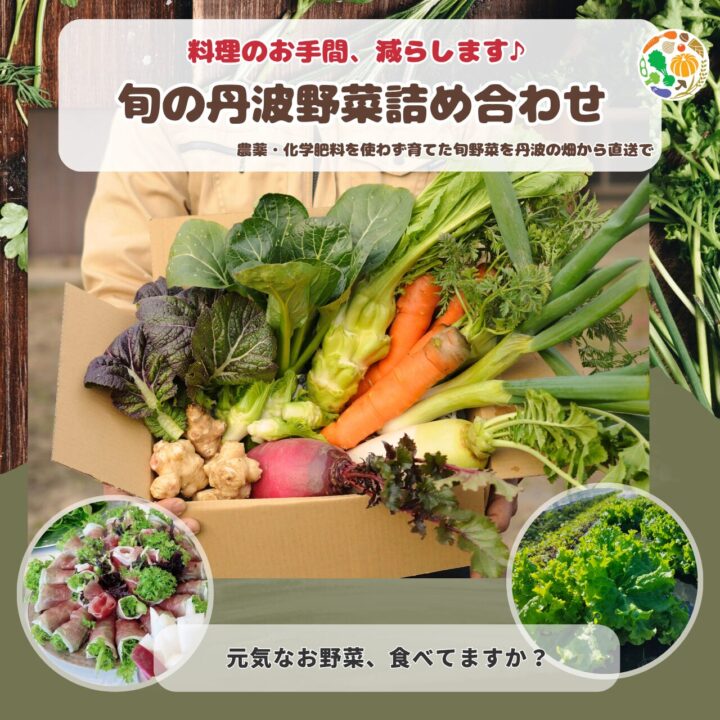 【都度注文】旬の丹波野菜詰め合わせ(送料込み)