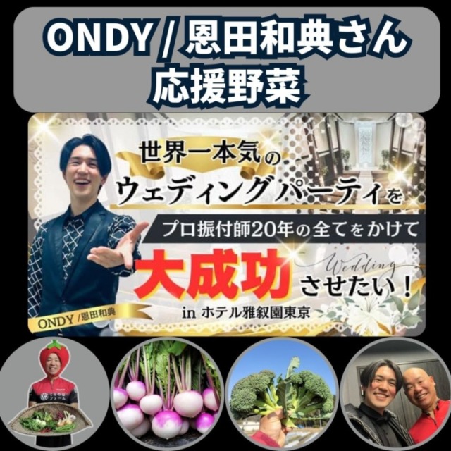 【ONDY/恩田和典さん応援野菜】限定4セット：旬の丹波野菜詰め合わせ(送料込み)