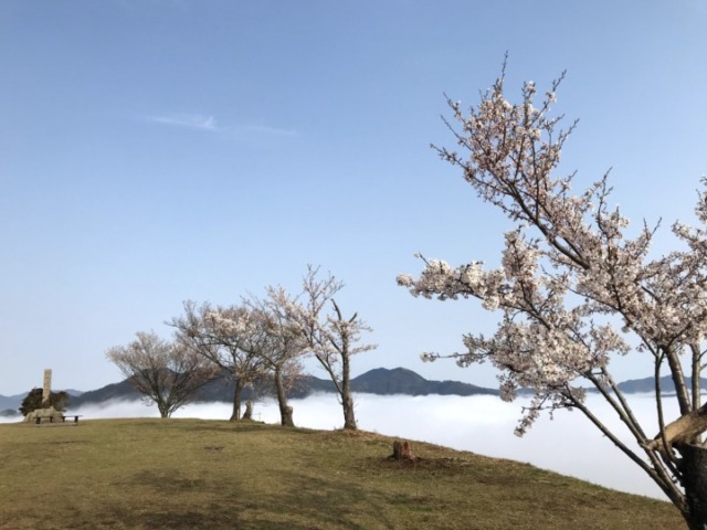 【クラファン支援者限定優待チケット】4/6(日) 春爛漫！田舎でリフレッシュ～お花見ランとBBQの休日～ - 画像 (4)