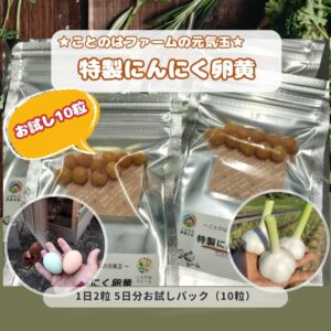 頑張りたい人専用：特製にんにく卵黄 5日分お試しパック（10粒）送料無料