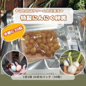 頑張りたい人専用：特製にんにく卵黄 手軽に30粒パック（送料無料）