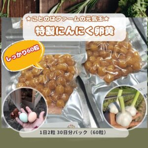 頑張りたい人専用：特製にんにく卵黄 しっかり60粒パック（送料無料）