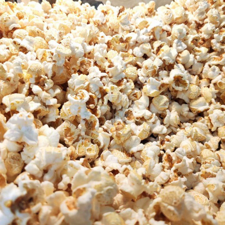 楽しいコトが好きな人専用:爆発前ポップコーン(乾燥とうもろこし) 100g(送料無料) - 画像 (3)