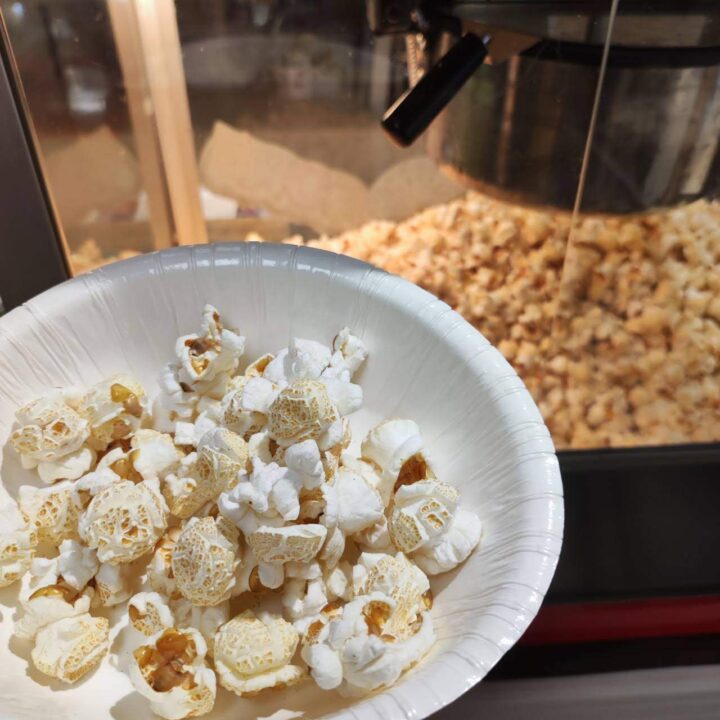 楽しいコトが好きな人専用:爆発前ポップコーン(乾燥とうもろこし) 100g(送料無料) - 画像 (2)