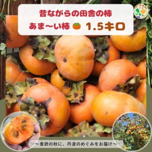 昔ながらの田舎の柿(あま〜い柿 1.5キロ) (送料無料)