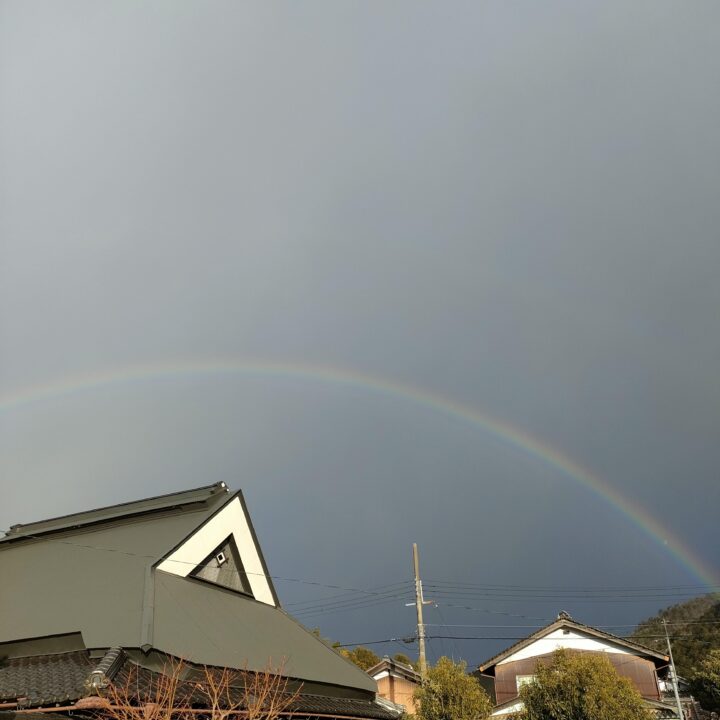 昔ながらの田舎の柿(あま〜い柿 1.5キロ) (送料無料) - 画像 (5)