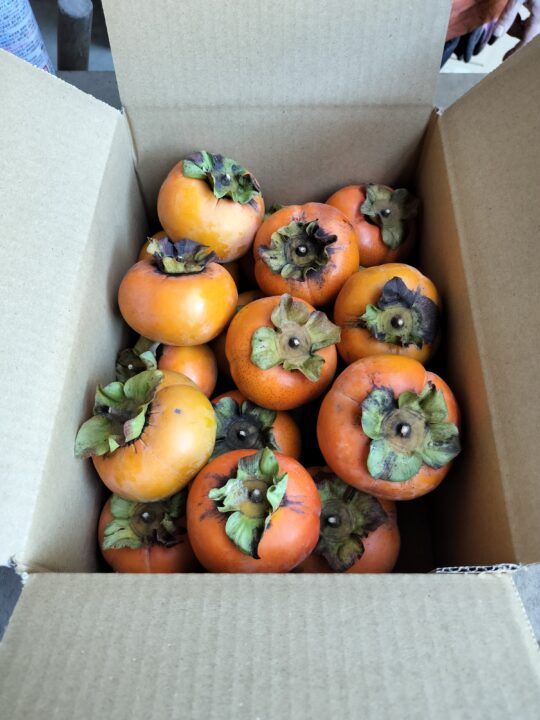 昔ながらの田舎の柿(あま〜い柿 1.5キロ) (送料無料) - 画像 (2)