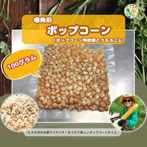 楽しいコトが好きな人専用:爆発前ポップコーン(乾燥とうもろこし) 100g(送料無料)