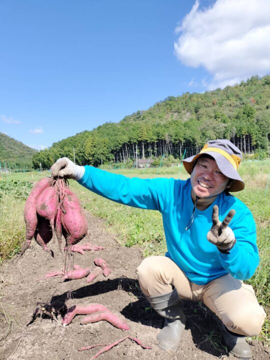 ねっとりあま~いさつまいも:紅はるか 3キロ (送料無料) - 画像 (6)