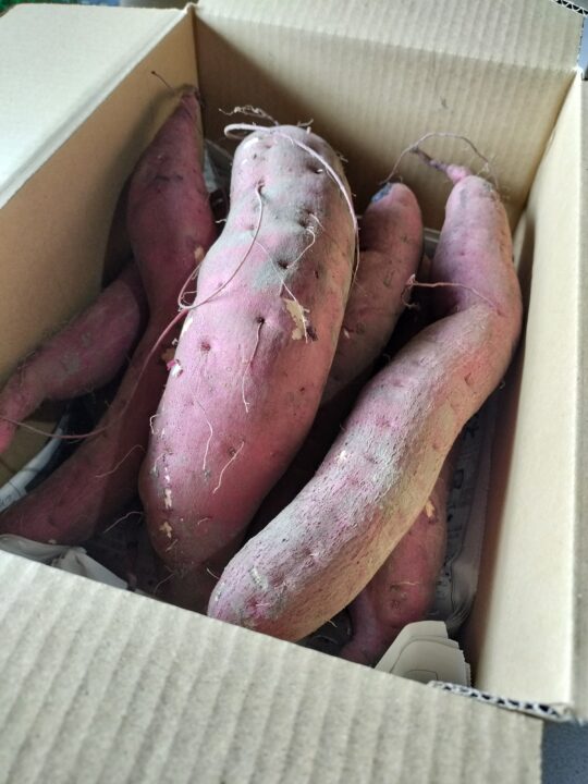 ねっとりあま~いさつまいも:紅はるか 3キロ (送料無料) - 画像 (5)