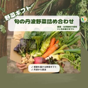 旬の丹波野菜詰め合わせ（3ヶ月お届けギフト）